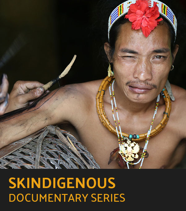 Skindigenous